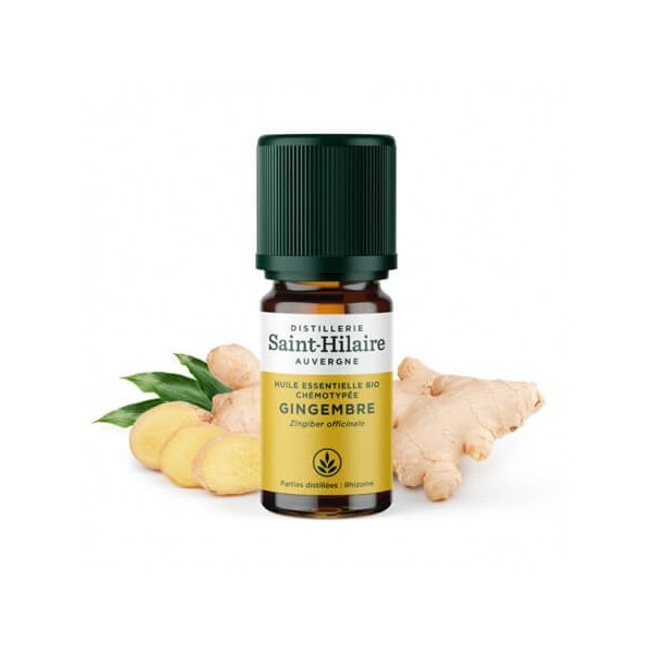 Gingembre en huile essentielle Bio