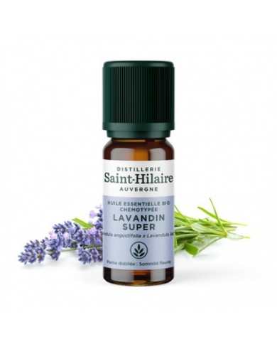 Lavandin super en huile essentielle Bio