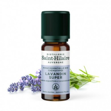 Lavandin super en huile essentielle Bio