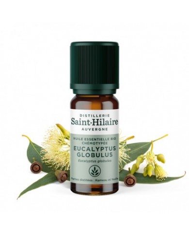 Eucalyptus globulus en huile essentielle Bio