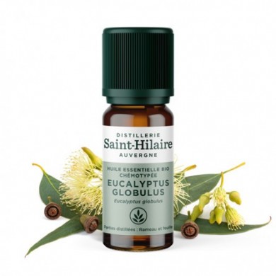 Eucalyptus globulus en huile essentielle Bio