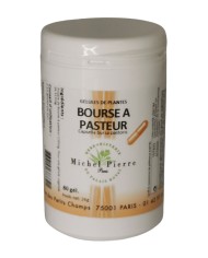 Artichaut en gélules Bio