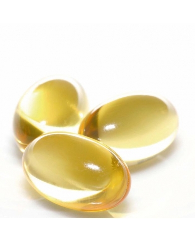 Défenses Hiver capsules Bio