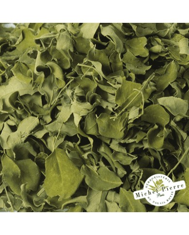Moringa - Feuille en vrac -  HEBORISTERIE DU PALAIS ROYAL PARIS MICHEL PIERRE
