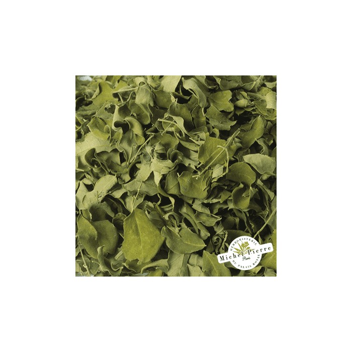 Moringa - Feuille en vrac -  HEBORISTERIE DU PALAIS ROYAL PARIS MICHEL PIERRE