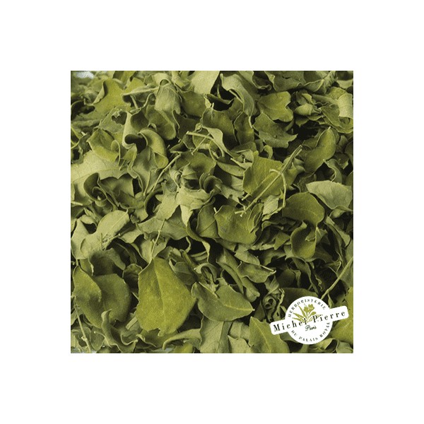 Moringa - Feuille en vrac -  HEBORISTERIE DU PALAIS ROYAL PARIS MICHEL PIERRE