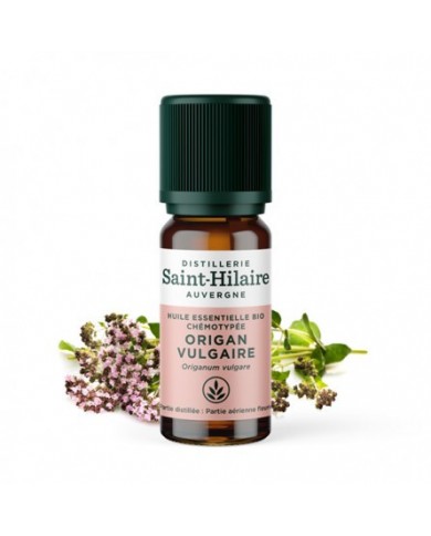 Origan en huile essentielle Bio