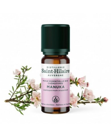 Manuka en huile essentielle Bio
