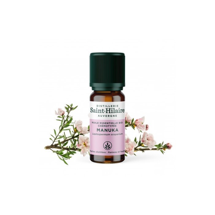 Manuka en huile essentielle Bio