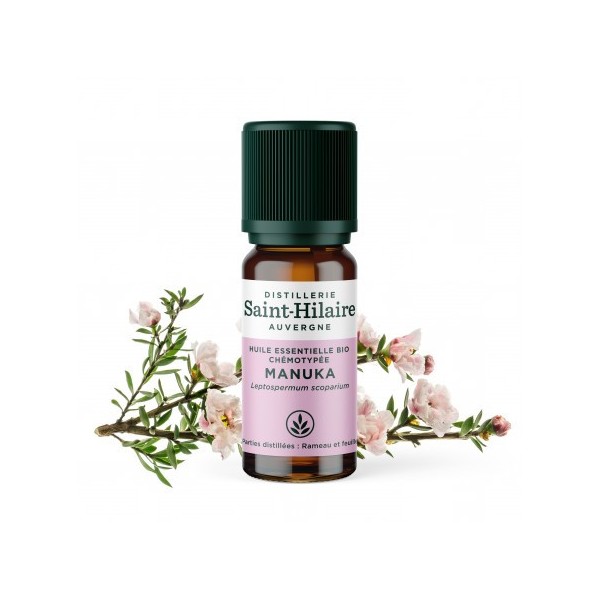 Manuka en huile essentielle Bio