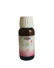 Pin sylvestre extrait hydroalcoolique Bio
