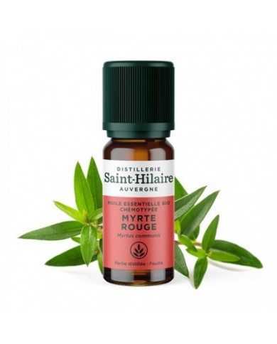 Myrte rouge en huile essentielle Bio