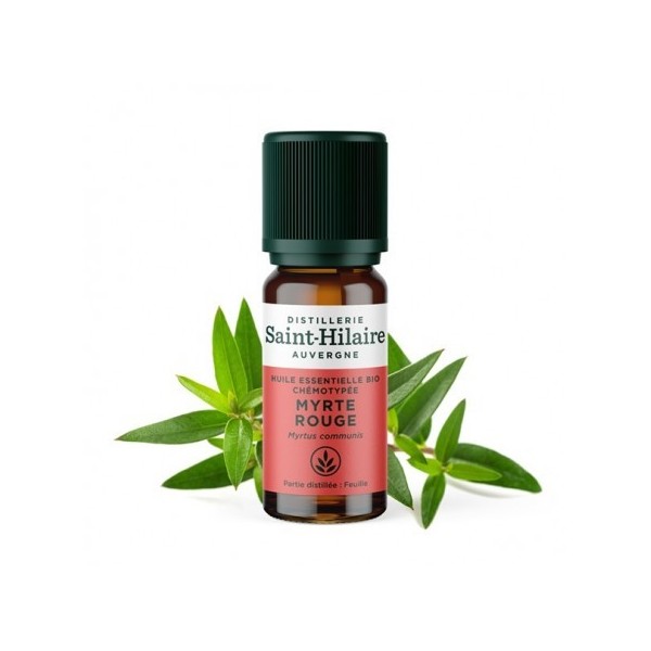 Myrte rouge en huile essentielle Bio