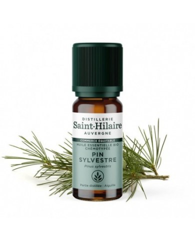 Pin Sylvestre en huile essentielle Bio