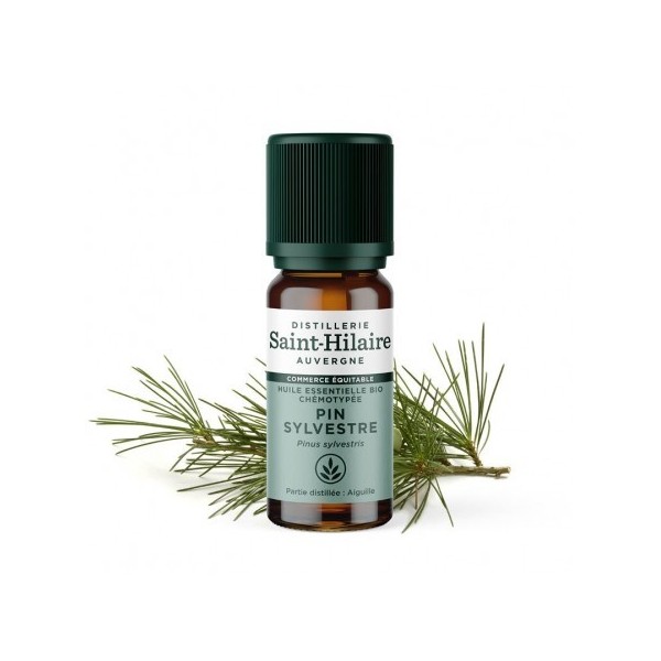 Pin Sylvestre en huile essentielle Bio