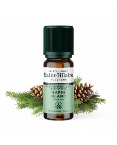 Sapin blanc en huile essentielle Bio