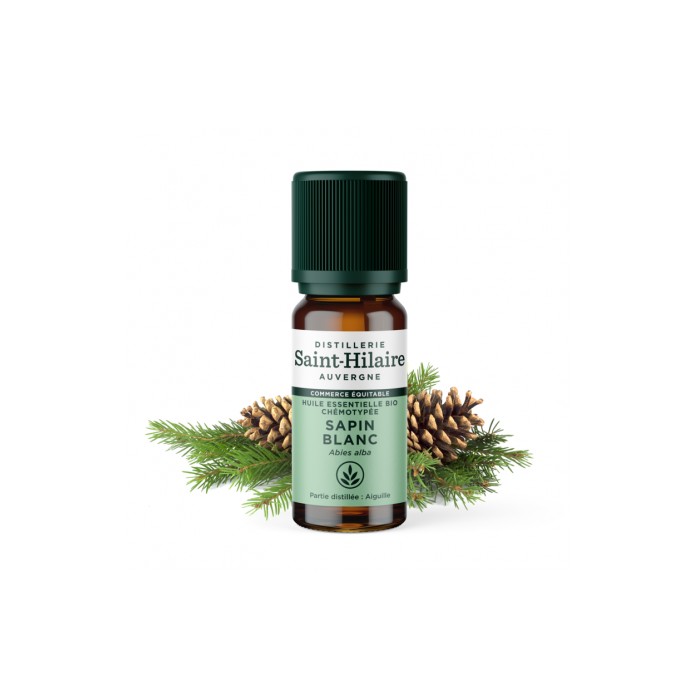 Sapin blanc en huile essentielle Bio