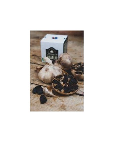 Ail noir tête entière bio