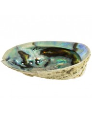 Palo Santo à brûler