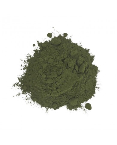 Chlorella en poudre 100 gr