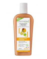 Shampooing Cheveux Colorés - Certifié Bio*