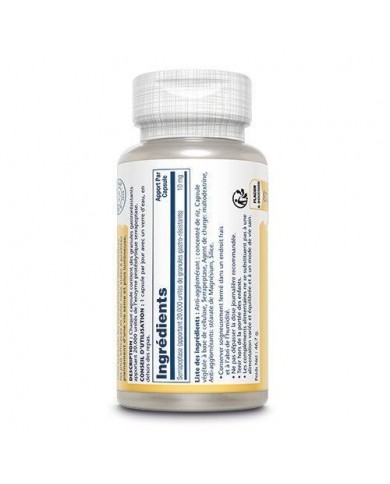 Serrapeptase 10mg - en Capsules