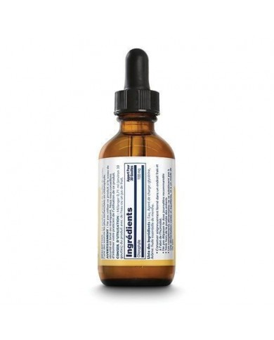 Chlorophylle Extrait liquide 20X
