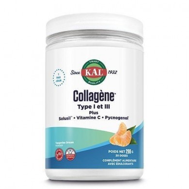 Collagène Type I et III en poudre