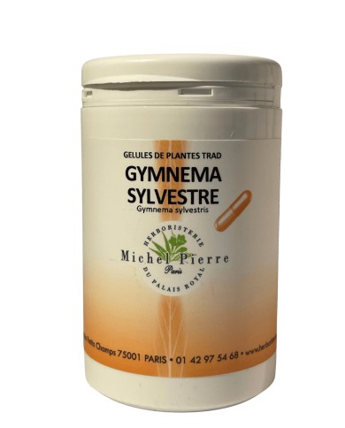 Gymnema sylvestris en gélules