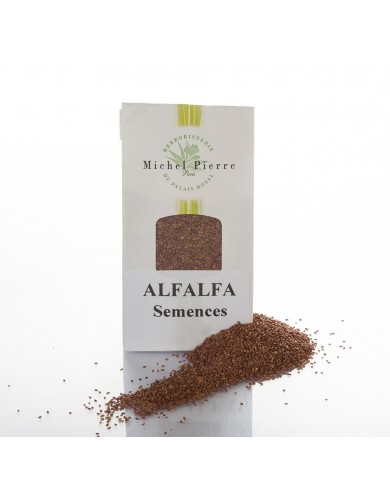 Alfalfa - Semences en vrac