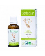 Vigne vierge bourgeons en liquide Bio