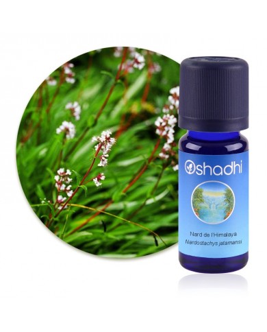 Huile essentielle Nard de l'Himalaya (Bio)