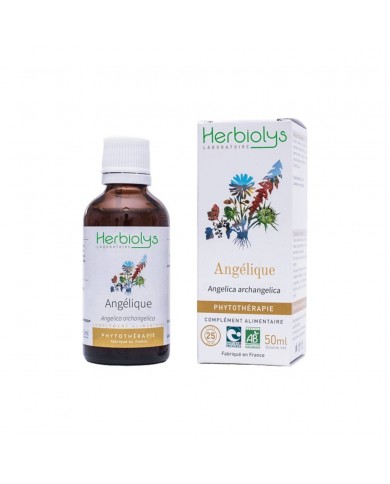 Angélique extrait hydroalcoolique Bio
