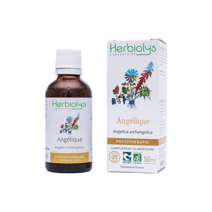 Angélique extrait hydroalcoolique Bio
