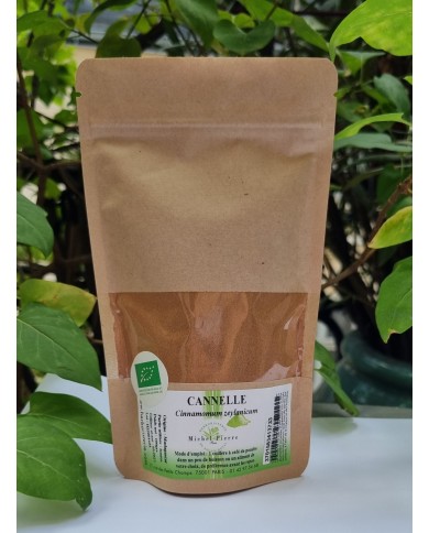Cannelle en poudre