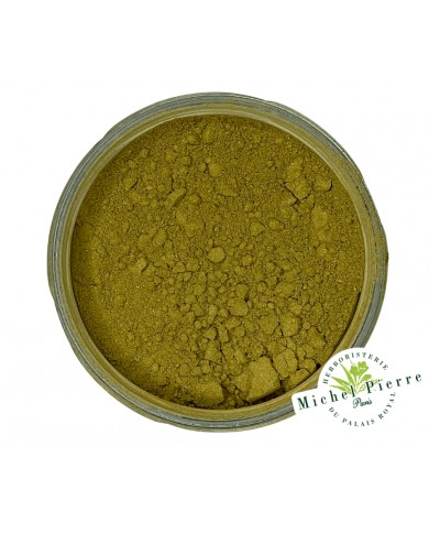 Ginkgo biloba en poudre
