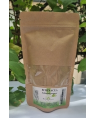 Ginkgo biloba en poudre