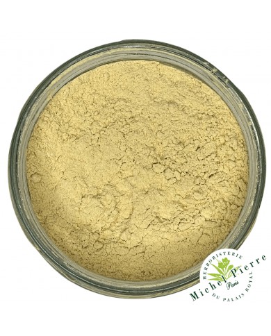 Ananas en poudre 100 gr
