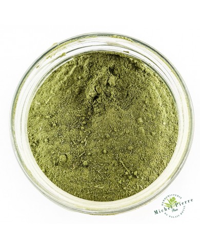 MORINGA - en Poudre