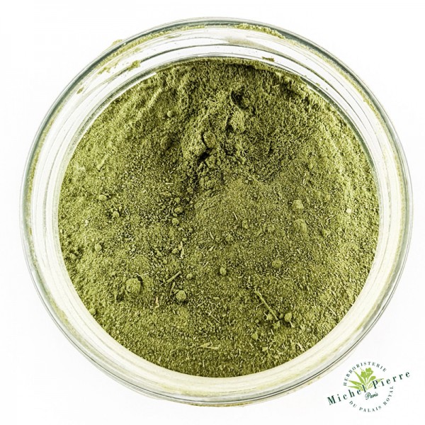 MORINGA - en Poudre