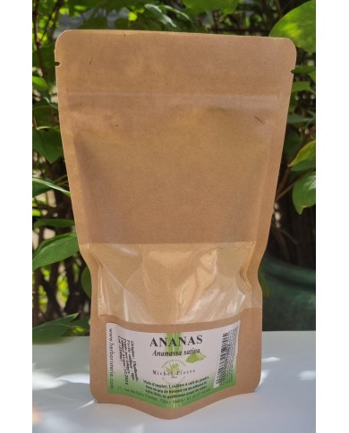 Ananas en poudre 100 gr