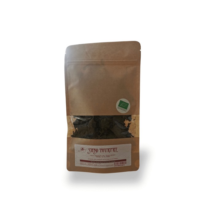 Shiso pourpre