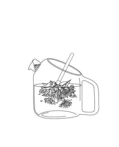 Coffret de 4 bouquets à infuser Bio