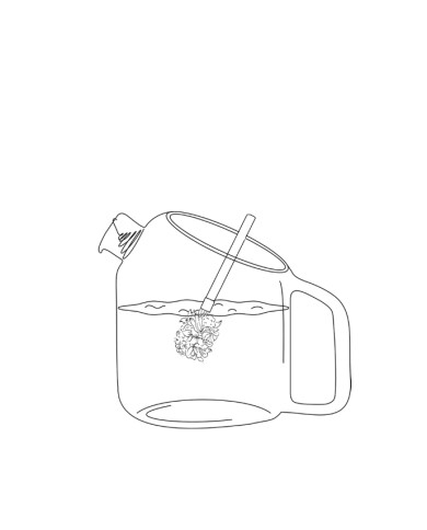 Coffret de 4 bouquets à infuser Bio