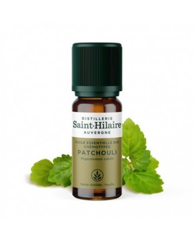 Patchouli en huile essentielle Bio