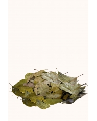 Spiruline française Bio en paillette