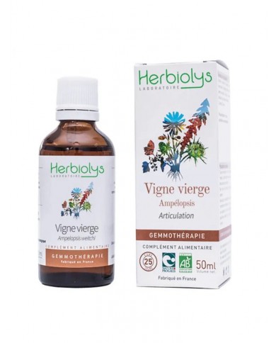 Vigne vierge bourgeons en liquide Bio