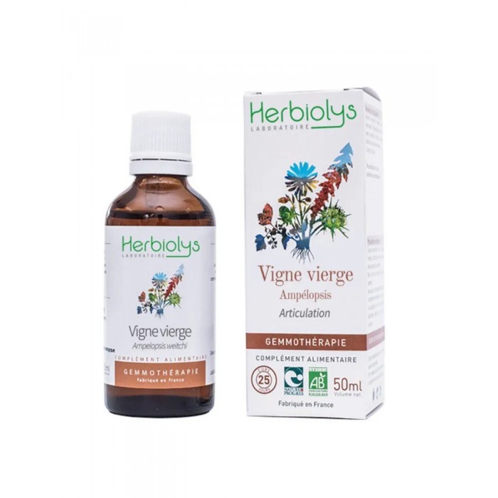 Vigne vierge bourgeons en liquide Bio