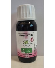 Angélique extrait hydroalcoolique Bio