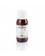 Échinacée extrait fluide glycériné Bio
